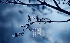 今日霜降秋色正浓 养生注重滋阴润燥