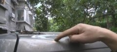 从天而降枯树枝 汽车都被砸出坑了
