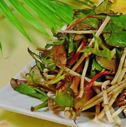 鱼腥草会致癌？重庆多位专家告诉你真相