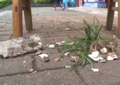 扫把、锅铲、花盆 这个小区居民楼上啥都敢往下掉