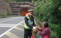 “唐老鸭”高速路上散步 他们冒着生命危险救鸭