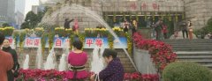 8万余株菊花亮相观音桥 出门都是景