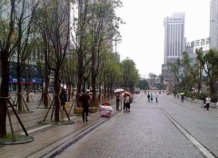 重庆本周先晴后阴雨 最高温27℃