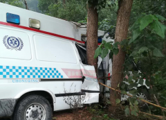 救护车冲出道路撞树 快递小哥停车救人