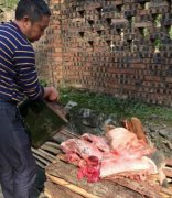 奉节查100余公斤问题猪肉已销毁