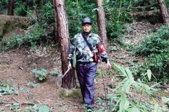 男子每天步行30公里巡山 6000亩青山42年零火灾