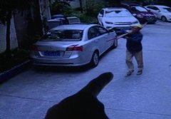 自己栽的树就可随意砍？若无手续属违法行为