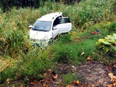 白色轿车冲出道路坠入农田  网友：怪导航？