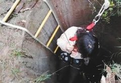 女子踩上木板 坠入10米深井