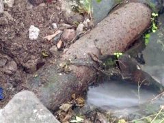 外面这根管子烂了好多天 白花花的水流得居民心疼