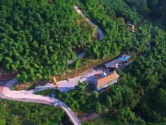 俯瞰重庆涪陵竹笋产业基地 竹影婆娑宛如绿野仙踪