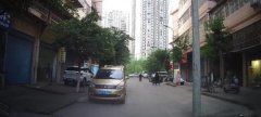 马路中央立了根电线杆 一不小心就会撞上去