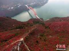 长江三峡两岸满山红叶成“美丽画卷”