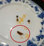 鸡杂吃到一半发现大虫  老板回应：正常