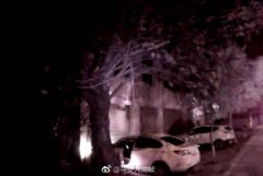 油门当做刹车踩 这个司机心有点懵
