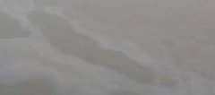 游泳变“油”泳？五彩波浪江中荡