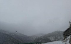 重庆下大雪了！最低温仅-3℃