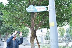 方便了！南岸一社区“共享”40余座厕所