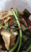 这么大的虫子跑到外卖里！吓坏食客