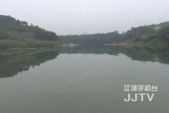 这种鸟类全球不到1000只  今年就有40只来江津