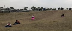 广场草坡变滑草场 孩子开心草坪很“受伤”