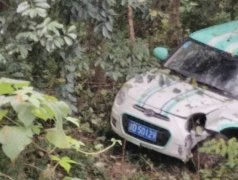 共享汽车一路滚下山坡 碗粗的树都没拦住