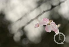 来大学城！ 感受冬天里的春天