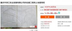 万州一开发商破产 五星酒店项目3.17亿起拍