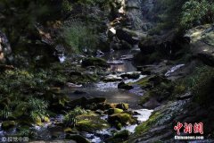 重庆发现2000米长雕岩谷