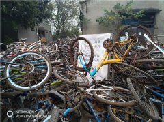 重理工大学蝴蝶山变废车场   超500辆废旧单车待认领