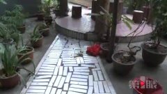 楼上又在往下丢东西  这次竟是排泄物