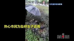 女子先拦车后坠桥 不停呻吟挣扎