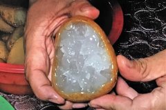 疯狂的石头 百余人重庆河滩“挖玉”