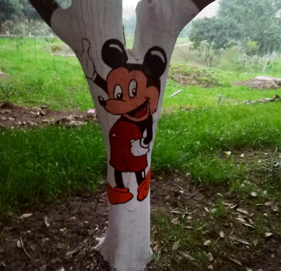 小区树干上满是涂鸦萌态可掬惹人喜爱