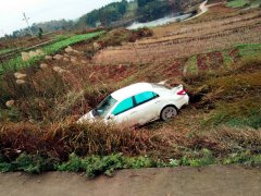重庆一轿车冲进路边农田  被枯草包围
