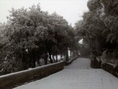 渝北华蓥山雪纷飞 一派北国风光