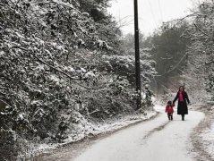 重庆一国家森林公园迎降雪 一片银装素裹