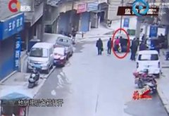 男子花上万元买爱犬 被骗去配种