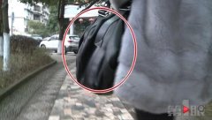 女子挎包当街被抢 大二学生拔腿就追