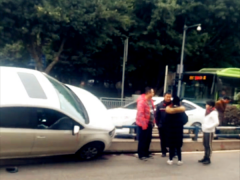 女司机把车开上护栏 画风特别引围观