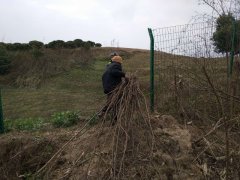 八旬老人上高速拾柴火 执法人员及时劝阻下道
