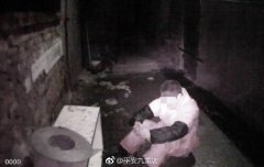 心真大！男子醉酒后躺绿化带昏睡