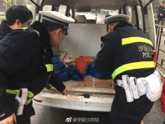 面包车尾部有血迹  民警排查发现原是虚惊一场
