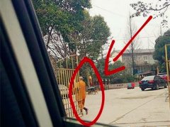 景区遭人敲车窗“化缘”   市民婉拒后对方眼神凶狠