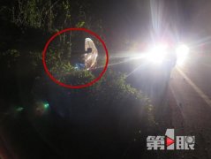 男子开奥迪车回家过年 喝水提神时发生意外