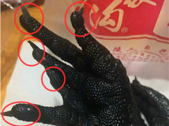 买的卤鸡爪竟有五个脚趾   网友疑惑不已