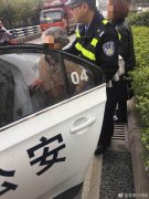 八旬老太误上双碑立交  无法记清家庭地址