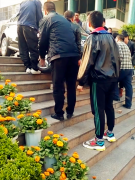 怪导航？轿车卡在梯坎上进退两难