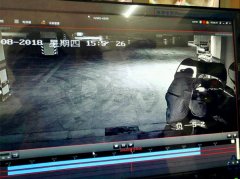 小区车库监控被损坏 调查发现真凶竟是个女窃贼