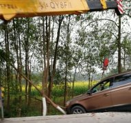 私家车失控冲出公路 撞断树木车身悬空